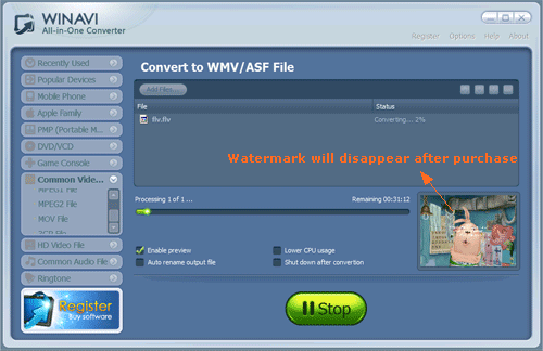 WinAVI究極動画変換でflvをwmvに変換する-スクリーンショット