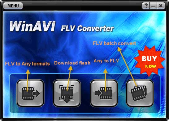 WinAVI flv 変換のインタフェース - スクリーンショット