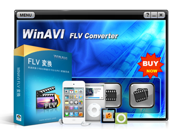 WinAVI FLV 変換