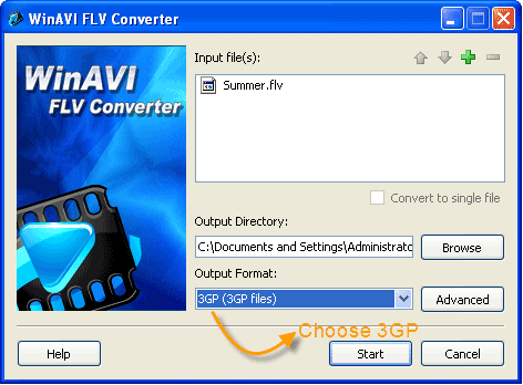 WinAVI flv 変換で  flvを3gpに変換する出力設定- スクリーンショット