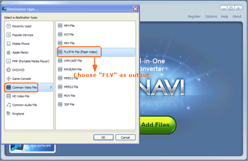 aviファイルをロードしてaviをflv形式に変換する -スクリーンショット