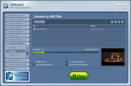 WinAVI究極動画変換でmkvをaviに変換する -スクリーンショット