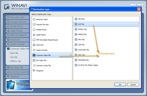 WinAVI究極動画変換で入力mp4ファイルをaviに変換する -スクリーンショット