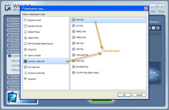 WinAVI究極動画変換でwmvファイルを入力してmp4に変換する - スクリーンショット