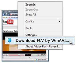 WinAVI　FLV変換の使い方　ステップ１